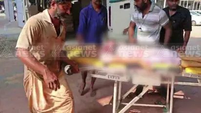 കൂവ വിളവെടുക്കുന്നതിനിടെ കാട്ടാനയുടെ ആക്രമണം: നേര്യമംഗലത്ത് സ്ത്രീ കൊല്ലപ്പെട്ടു