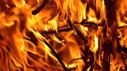 Delhi News: आग से जलकर शिक्षिका की मौत, परिवार झुलसा, १२ साल की बच्ची ने बताई ऐसी सच्चाई की दंग रह गई पुलिस