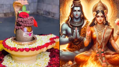 Mahashivratri 2024: भूलकर भी महाशिवरात्रि पर भी ना करें ये गलतियां, नहीं मिलेगा व्रत का फल 