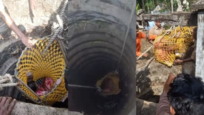 കാട്ടുപന്നിയെ കണ്ടു ഭയന്നോടി, കാണാതായ വീട്ടമ്മയെ 20 മണിക്കൂറിന് ശേഷം കണ്ടെത്തിയത് കിണറ്റിൽ