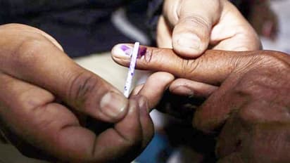 Lok Sabha Elections 2024: Sole indelible ink provider reaches 70% production mark
