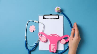 International Women's Day 2024 : സ്ത്രീകളുടെ ആരോഗ്യ സംരക്ഷണം ; ഇക്കാര്യങ്ങൾ ശ്രദ്ധിക്കാം