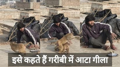 एक पराठा आधी कटोरी दाल छीन ले गए बंदर- लोग बोले नजर हटी दुर्घटना घटी