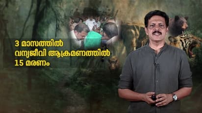 കേരളത്തിൽ മൂന്ന് മാസത്തിനിടെ വന്യജീവി ആക്രമണത്തിൽ കൊല്ലപ്പെട്ടത് 15 പേര്; കൂടുതൽ പേരെ കൊന്നത് ആനകൾ