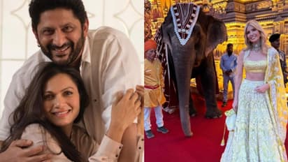 Arshad Warsi's wife Maria Goretti slams Ambani's for using elephants as 'prop' at their pre-wedding ceremony