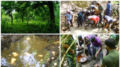 കാടിനുള്ളിൽ ആറോളം ചെറുകുളങ്ങൾ; വന്യമൃ​ഗങ്ങൾക്കും പക്ഷികൾക്കും വേനലിൽ ആശ്വാസമായി സന്നദ്ധസംഘടന