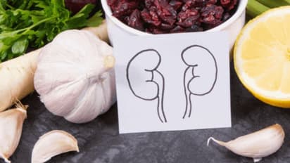 വൃക്ക രോഗങ്ങളെ തടയാനും വൃക്കകളെ കാക്കാനും സഹായിക്കും അടുക്കളയിലുള്ള ഈ ഭക്ഷണങ്ങള്...