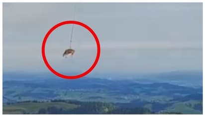 'അതാ, മുകളിലേക്ക് നോക്കൂ... ആകാശത്തൊരു പശു'; അന്തംവിട്ട് ജനം, വൈറല്‍ വീഡിയോ കാണാം !