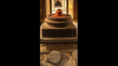 ఈ శివరాత్రి చాలా ప్రత్యేకం.. 300 ఏండ్ల తర్వాత అరుదైన యోగం.. ఆర్థిక లాభం, విజయాలు మీ సొంతం