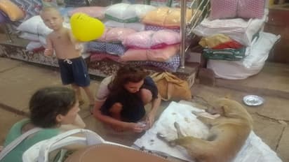 ಗೋಕರ್ಣ: ಗಾಯಗೊಂಡಿದ್ದ ನಾಯಿಗೆ ವಿದೇಶಿ ಮಹಿಳೆಯಿಂದ ಚಿಕಿತ್ಸೆ