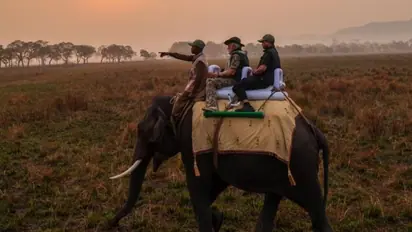 PM Modi takes jeep and elephant safaris in Assam's Kaziranga National Park (WATCH)