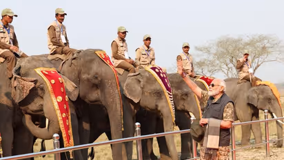 కజిరంగ నేషనల్ పార్క్‌లో కలియదిరిగిన మోడీ: ఏనుగు సవారీ (ఫోటోలు) 