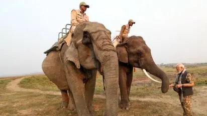 'Urge you to visit Kaziranga National Park...' PM Modi tells nation after safari