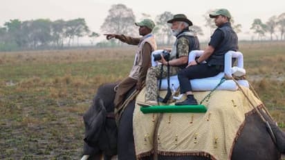 काजीरंगा में मोदी की बेहतरीन तस्वीरें, जंगल में घुसते ही PM ने थामा कैमरा