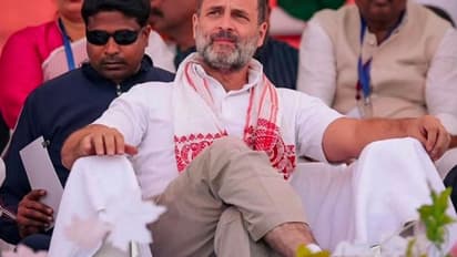 'लेंगे बदला-देंगे खून, भैया बिना अमेठी सून'...क्यूं वायरल हो रहा राहुल गांधी का ऐसा पोस्टर