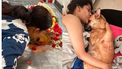 రష్మీ గౌతమ్ పెంపుడు కుక్క మృతి.. ఎమోషనల్ పోస్ట్ వైరల్