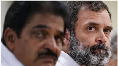 'കെസി ജയിച്ചാൽ രാജ്യസഭയിൽ ബിജെപിക്ക് വോട്ട് കൂടും'; അവർക്ക് സന്തോഷിക്കാൻ വേറെയെന്ത് വേണമെന്ന് ജോൺ ബ്രിട്ടാസ്