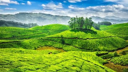 150 ரூபாய் இருந்தால் போதும் 21 இடங்களை ஒரே நாளில் சுற்றிப்பார்க்கலாம்.! புதுவையில் தொடங்கிய புதிய திட்டம்