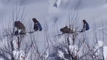 പൊന്നാങ്ങളയ്‍ക്ക് പകരം മറ്റാരുണ്ട്; കനത്ത മഞ്ഞിൽ 4 കിലോമീറ്റർ സഹോദരിക്ക് വഴിയൊരുക്കി പവൻ