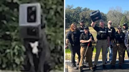 തലയിൽ പെട്ടിയുമായി നായ കഴിഞ്ഞത് ഒരു കൊല്ലം, ബാരിക്കേഡുകൾ വച്ച് രക്ഷാപ്രവർത്തനം, ഒടുവിൽ