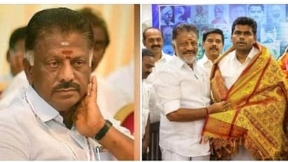 ஒரே ஒரு தொகுதி.!தாமரை சின்னத்தில் தான் போட்டி.!உறுதியாக நிற்கும் பாஜக.?கெத்து காட்ட முடியாமல் தவிக்கும் ஓபிஎஸ்