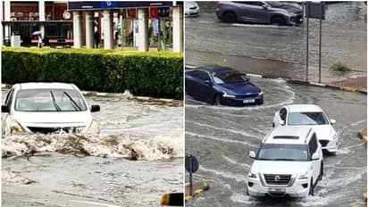 കലിതുള്ളി മഴയെത്തി, നാല് ദിവസത്തിൽ പെയ്തത് ആറ് മാസത്തെ മഴ; യുഎഇയിൽ ഏറ്റവും കൂടുതല് മഴ ലഭിച്ചത് ഇവിടെ