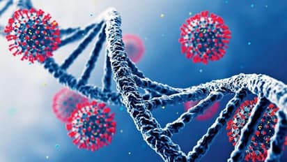 പനി, വരണ്ട ചുമ, തലവേദന, പേശിവേദന; മുന്നറിയിപ്പ് നല്കി ലോകാരോഗ്യ സംഘടന, ജാഗ്രതയില് യൂറോപ്പ്