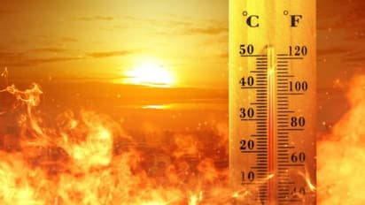 Kerala: IMD issues high-temperature warning in various parts of state today