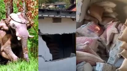 അരിക്കൊമ്പനെത്തുന്ന റേഷൻകട, ഇത്തവണ ചക്കകൊമ്പൻ; കൊടിമരം ചവിട്ടി ഫെൻസിങ് താഴെയിട്ടു, 4 ചാക്ക് അരി നശിപ്പിച്ചു