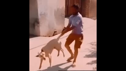 Viral Video shows man cruelly torturing stray dog, sparks outrage (WATCH)