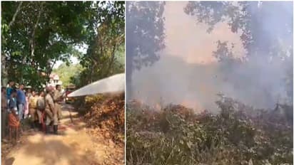 പഞ്ചായത്ത് സെക്രട്ടറിയെ സ്ഥലം മാറ്റിയ സന്തോഷത്തിന് പടക്കം പൊട്ടിച്ചു; പറമ്പിലേക്ക് തീ പടര്‍ന്നു