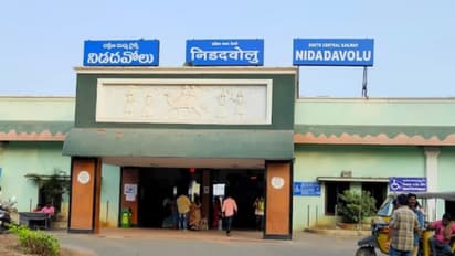 నిడదవోలు అసెంబ్లీ ఎన్నికల ఫలితాలు 2024