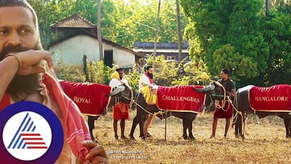 IPL ಟೂರ್ನಿಗೆ ಕಿಚ್ಚು ಹಚ್ಚಿದ ರಿಷಭ್ ಶೆಟ್ಟಿ..! ಕಾಂತಾರ ಹೀರೋ RCB ಬಗ್ಗೆ ಏನ್ ಹೇಳ್ತಿದ್ದಾರೆ ಅರ್ಥ ಆಯ್ತಾ..?