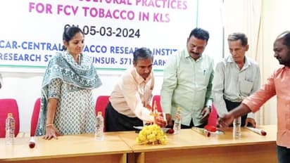 ಮೈಸೂರು: ತಂಬಾಕು ಬೆಳೆಗಾರರಿಗೆ ಎಫ್ ಸಿಎಚ್ 248 ತಳಿ ಮಾರುಕಟ್ಟೆಗೆ