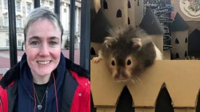 ഹാംസ്റ്റർ ചത്തുപോയി, ചിതാഭസ്മവുമായി യുവതിയുടെ യൂറോപ്പ് ടൂര്