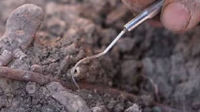 11000 വർഷം പഴക്കമുള്ള ഭൗതികാവശിഷ്ടങ്ങൾ, പ്രത്യേകതരം ആഭരണങ്ങൾ; കണ്ടെത്തൽ തുർക്കിയിൽ