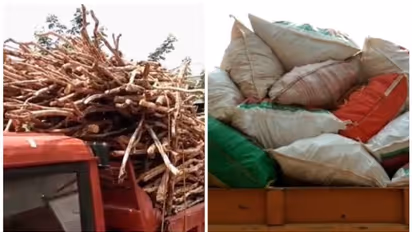 ഒറ്റനോട്ടത്തിൽ ഒരു ആക്രിക്കട; ആക്രി ശേഖരിക്കുന്നു, വിൽക്കുന്നു; അകത്തെ ഷെഡിൽ നിന്ന് പിടിച്ചത് 2000 കിലോ ചന്ദനം