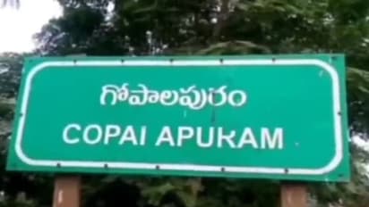 గోపాలపురం అసెంబ్లీ ఎన్నికల ఫలితాలు 2024