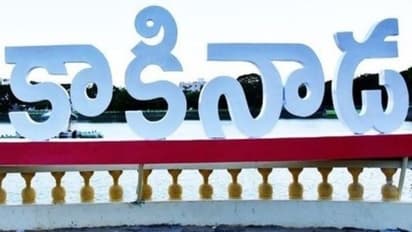 కాకినాడ రూరల్ అసెంబ్లీ ఎన్నికల ఫలితాలు 2024