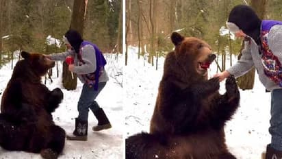 ആരിവൻ, കരടിക്ക് കോലുമുട്ടായി കൊടുത്ത് മയക്കിയെടുത്തവൻ? വീഡിയോ 