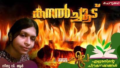 Malayalam Short Story: കനല്ച്ചൂട്, നീതു വി. ആര് എഴുതിയ ചെറുകഥ
