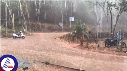 ಕರ್ನಾಟಕಕ್ಕೆ 2024ರ ಮೊದಲ ಮಳೆ ಸಿಂಚನ; ನಿನ್ನೆ ಕೊಡಗು, ಇಂದು ಚಿಕ್ಕಮಗಳೂರಲ್ಲಿ ತಂಪೆರೆದ ಮಳೆರಾಯ!