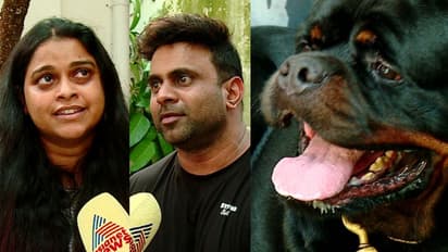 ആരുടെയൊക്കെയോ താൽപ്പര്യമാണ് ലക്ഷ്യം, 23 ഇനം നായ്ക്കളുടെ ഇറക്കുമതി നിരോധിച്ചതിൽ എതിപ്പുമായി നായപ്രേമികൾ 