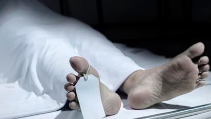 ലിവിങ് പങ്കാളിയേയും മകനേയും കൊലപ്പെടുത്തി; ഹോട്ടൽ മുറിയിൽ ജീവനൊടുക്കി യുവാവ്