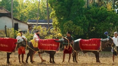 ഐപിഎല്ലില് ഇനി റോയല് ചലഞ്ചേഴ്സ് 'ബാംഗ്ലൂര്' ഇല്ല, പകരം പുതിയൊരു പേര്, സൂചന നല്കി കന്നഡ സൂപ്പര് താരം