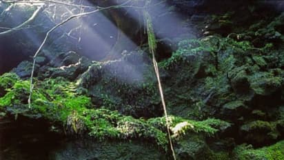 ഗുണ കേവിനെക്കാൾ ഭയാനകം, അപകടം? വ‌ടക്കുനോക്കിയന്ത്രങ്ങളും ഫോണുകളും നിശ്ചലമാകുന്ന ആത്മഹത്യാവനം