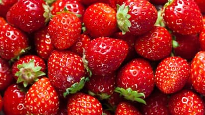 സ്കൂളിൽ നിന്ന് സ്ട്രോബെറി കഴിച്ച് എട്ട് വയസുകാരൻ മരിച്ചു, മുന്നറിയിപ്പുമായി കെന്റക്കിയിലെ ആരോഗ്യ മന്ത്രാലയം