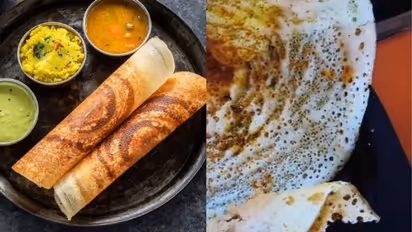 மாஸ்டர்! சூடா ஒரு தோசை.. ஆர்டர் செய்த பெண்ணுக்கு காத்திருந்த அதிர்ச்சி.. 8 கரப்பான் பூச்சியா..