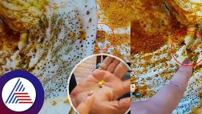 ಭಾರತದ ಪ್ರತಿಷ್ಠಿತ ದಕ್ಷಿಣ ಭಾರತೀಯ ಹೊಟೇಲ್ ದೋಸೆಯಲ್ಲಿತ್ತು ಎಂಟು ಜಿರಳೆ!