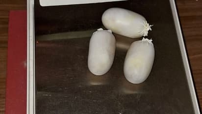 ഗുളിക രൂപത്തിലാക്കി ശരീരത്തിലൊളിപ്പിച്ച് കടത്തിയ 80 പവനോളം സ്വര്ണം പിടിച്ചു